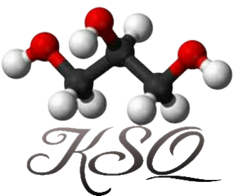 Kataliz Service Quality